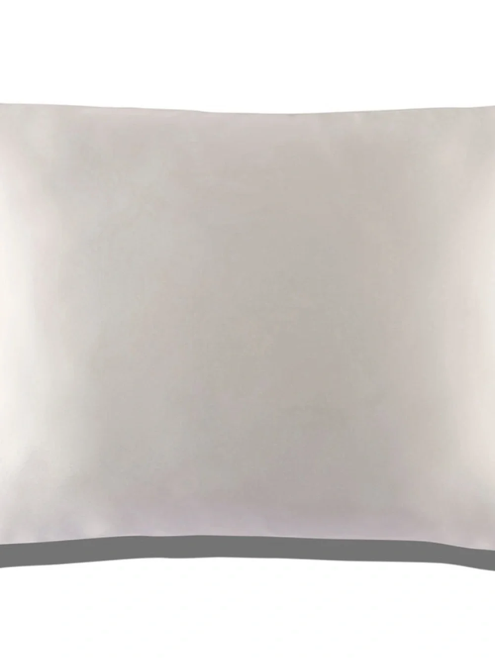 SLIP pure silk white queen zippered pillowcase - NWOT